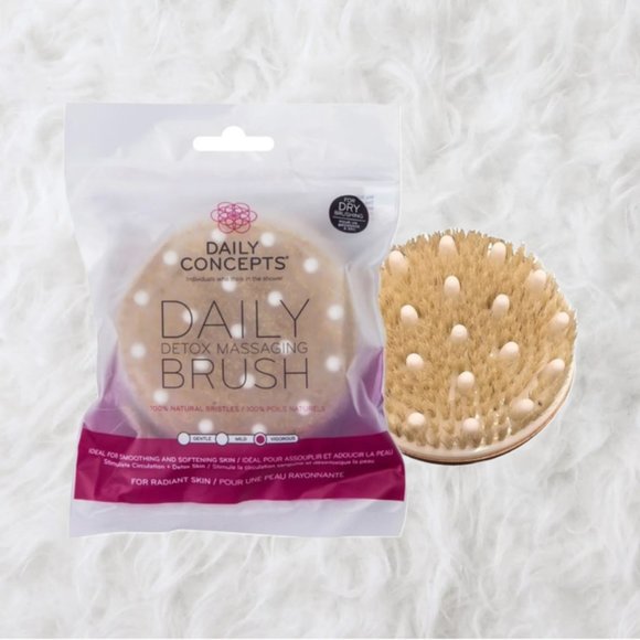 Daily Concepts Dry Brush - Picture 1 of 4